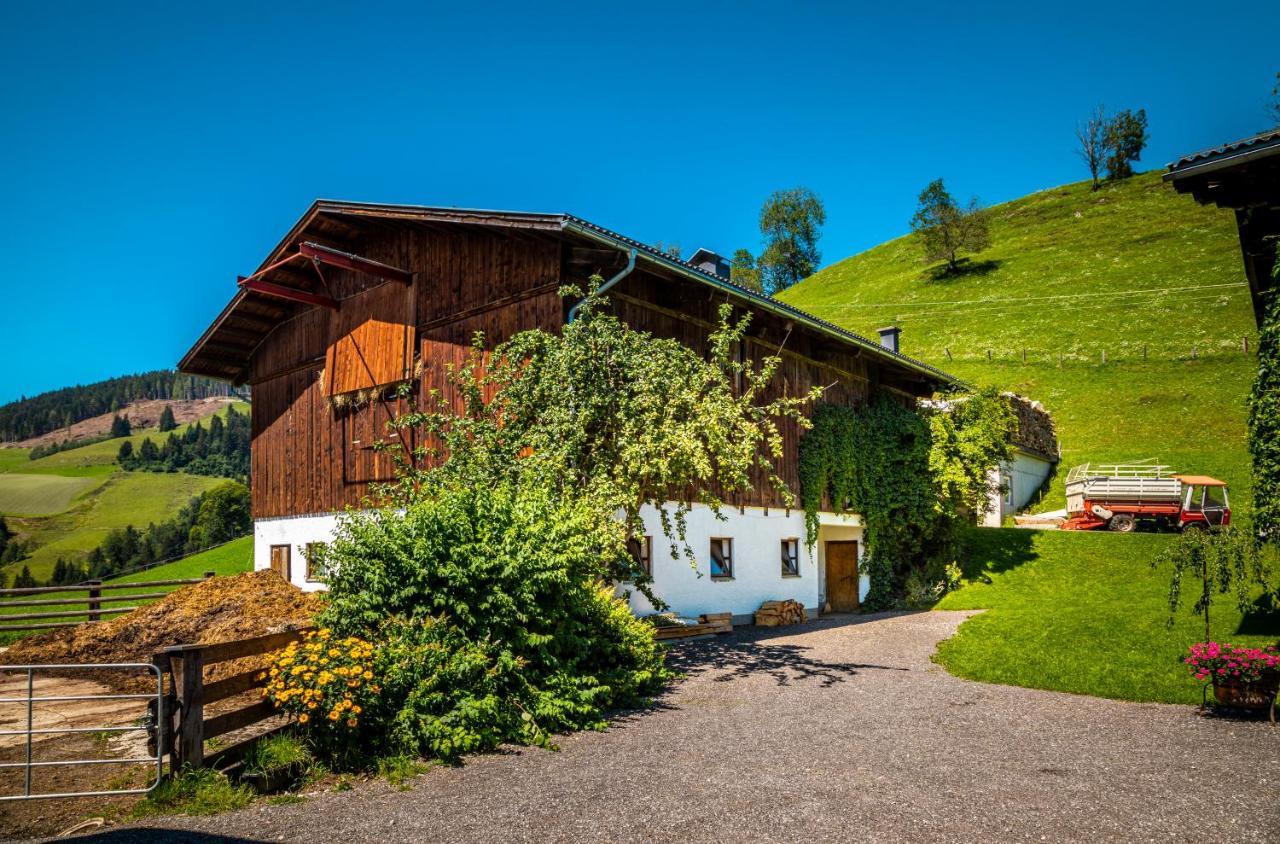 Haus Lindbichl Villa Sankt Johann im Pongau Exterior foto