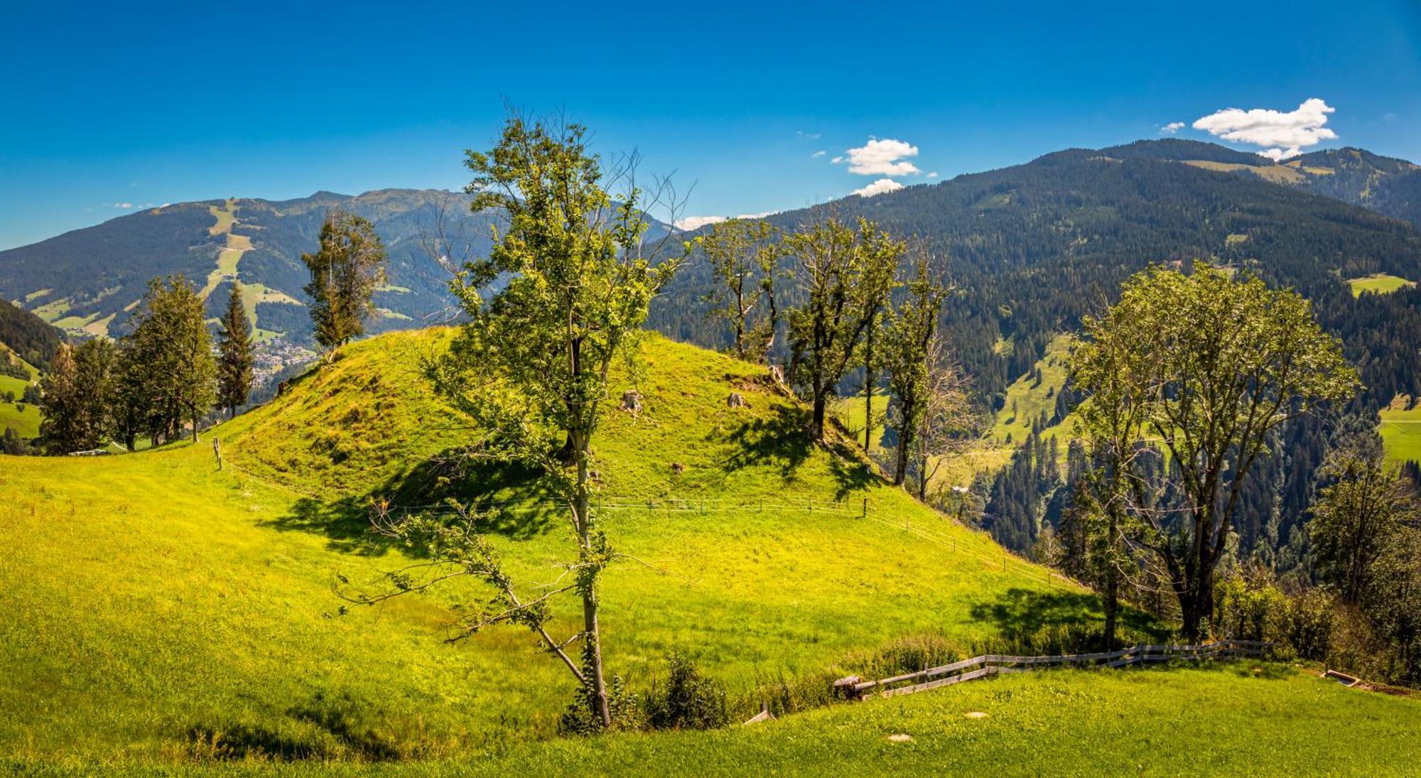 Haus Lindbichl Villa Sankt Johann im Pongau Cameră foto